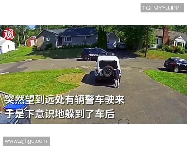 挑战者杯点评:LNG的意识表现 挑战者杯点评:LNG的意识表现