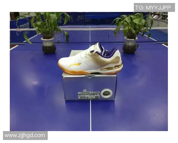 乒乓球装备选购：球鞋推荐